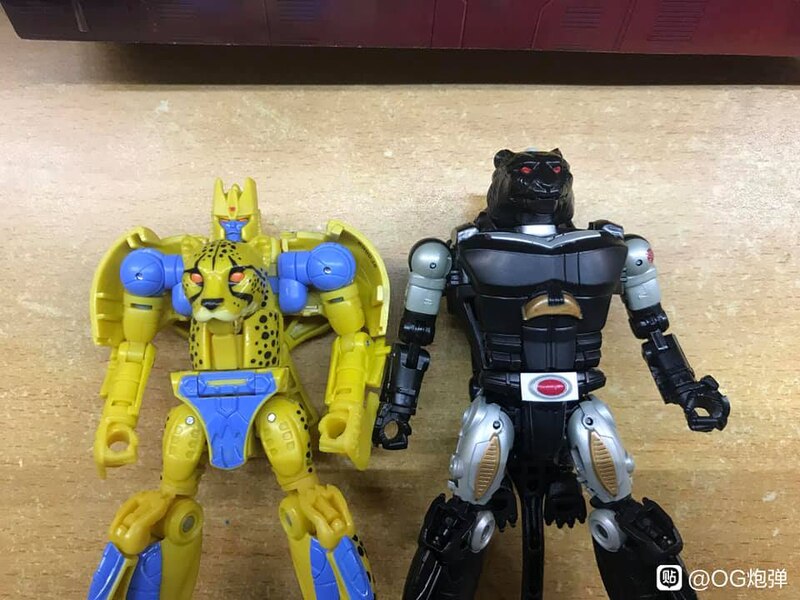 MORE Transformers Agent Ravage Images Cheetor Compared  (48 of 67)